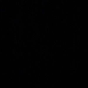 Meet your Posher, Evan